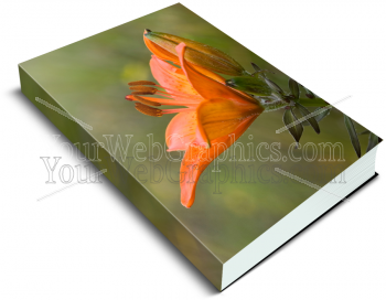 illustration - book_cover_flowers_1-png